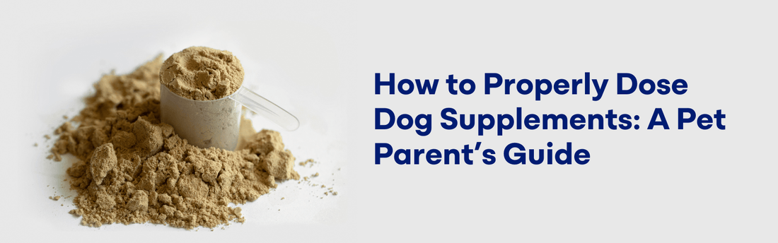 Properly Dose Dog Supplements