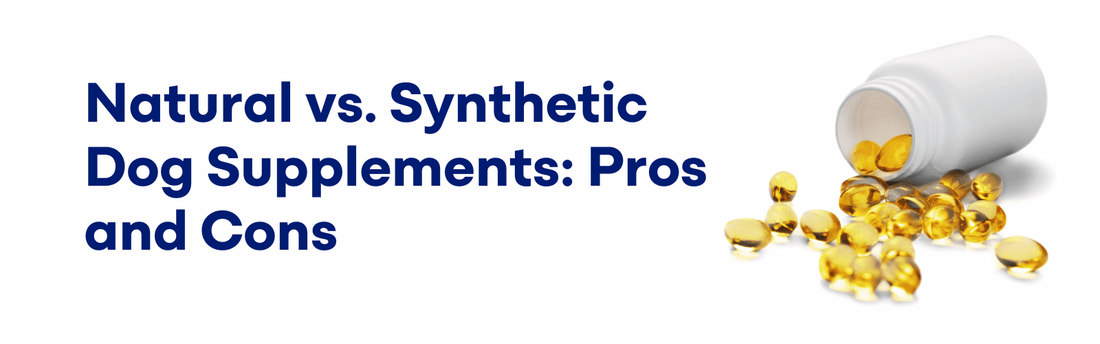 Natural vs. Synthetic Dog Supplements