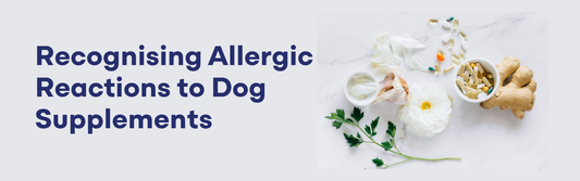 Recognizing Allergic Reactions to Dog Supplements: A Guide for Pet Parents