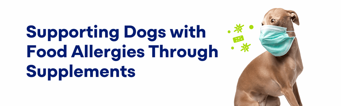 Supporting Dogs with Food Allergies