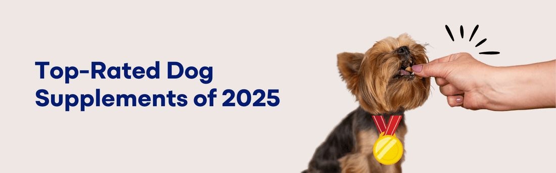 Top-Rated Dog Supplements of 2025: A Comprehensive Guide for Pet Parents