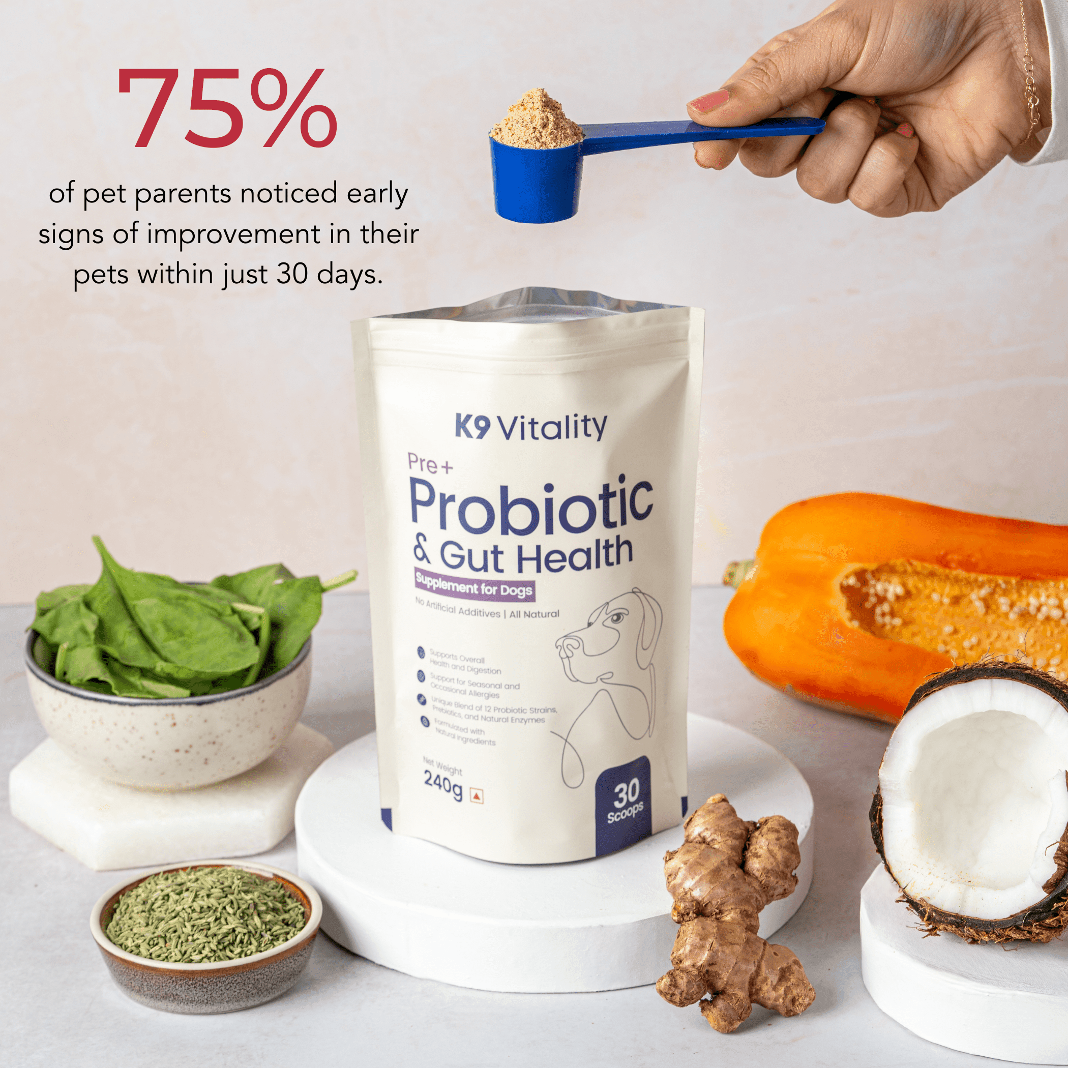 Buy Pre Probiotics Gut Health For Dogs K9 Vitality