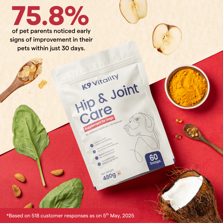 Buy Hip Joint Care Supplement For Dogs