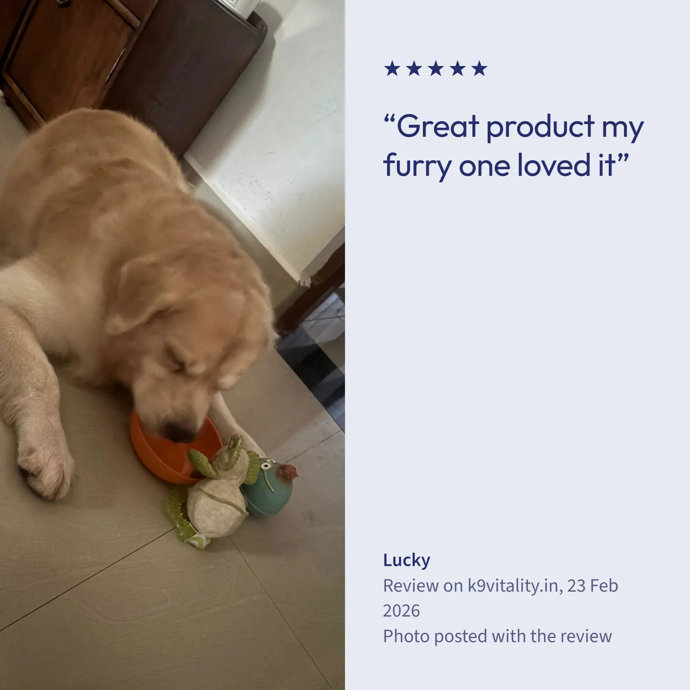 A 5-star Calming review, with the photo posted with it