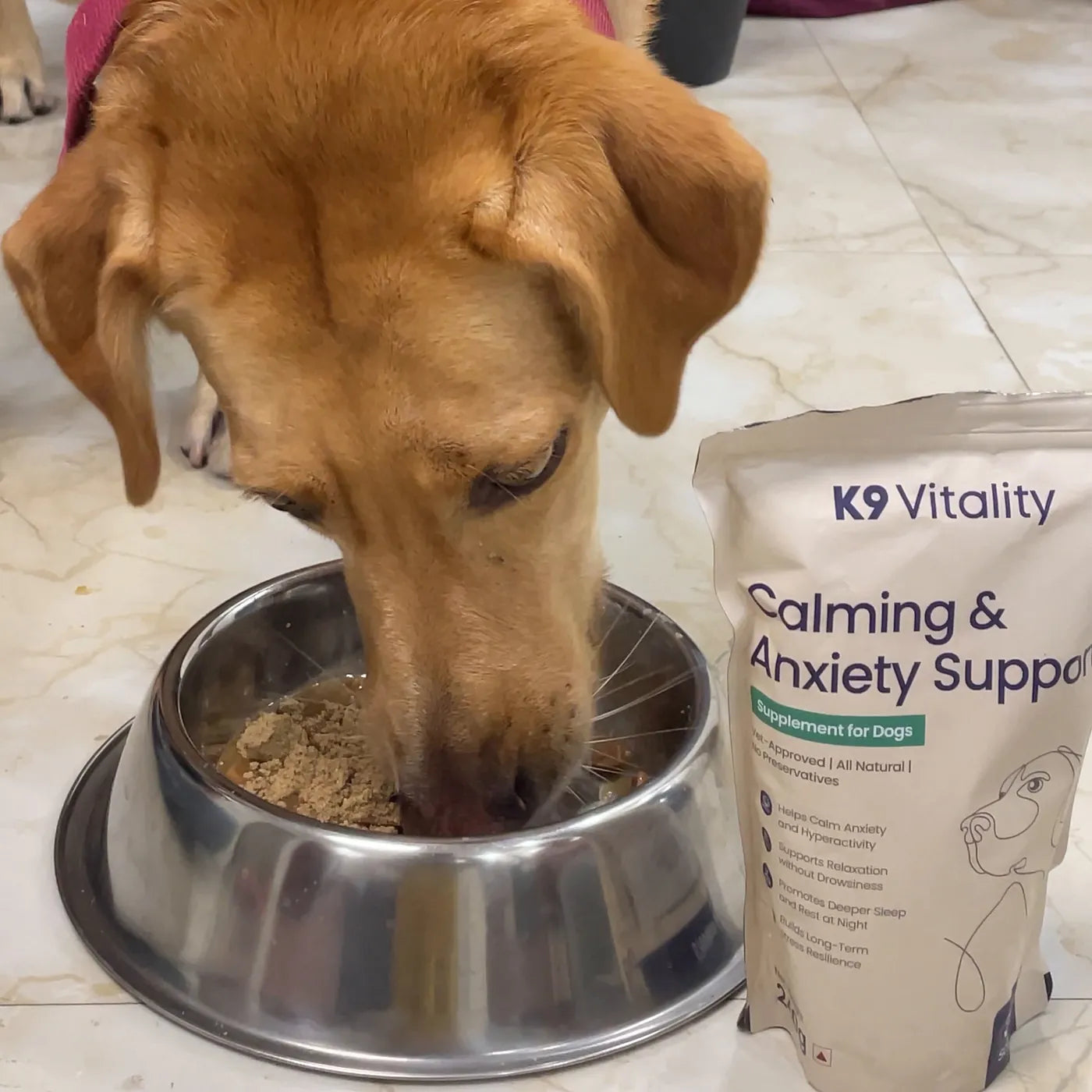 A dog eating from a steel bowl beside the Calming & Anxiety Support pack