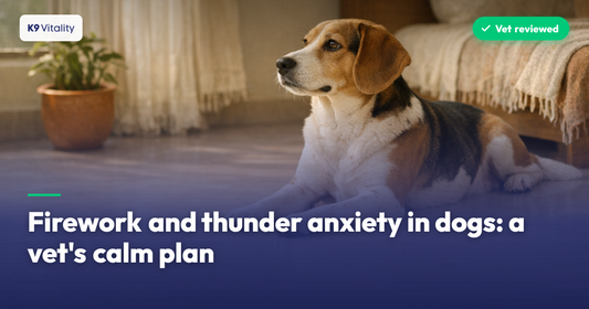 Firework and thunder anxiety in dogs: a vet's calm plan