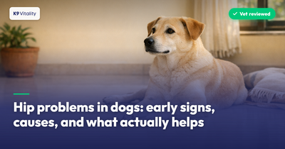 Hip problems in dogs: early signs, causes, and what actually helps