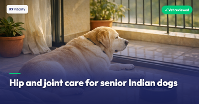 Hip and joint care for senior Indian dogs: a vet-reviewed guide