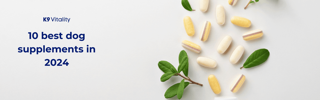 10 best dog supplements in 2024 - K9 Vitality
