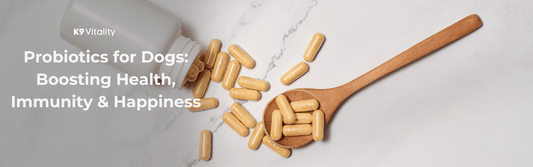 Probiotics for Dogs: Boosting Health, Immunity & Happiness
