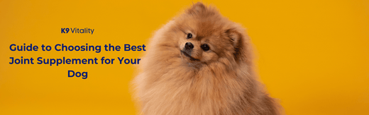  Best Joint Supplement for Your  Dog