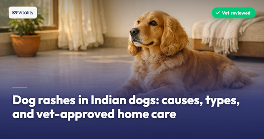 Dog rashes in Indian dogs: causes, types, and vet-approved home care