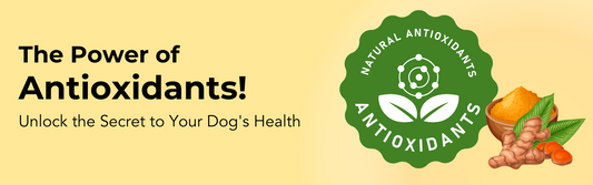 The Role of Antioxidants in Dog Health: A Comprehensive Guide