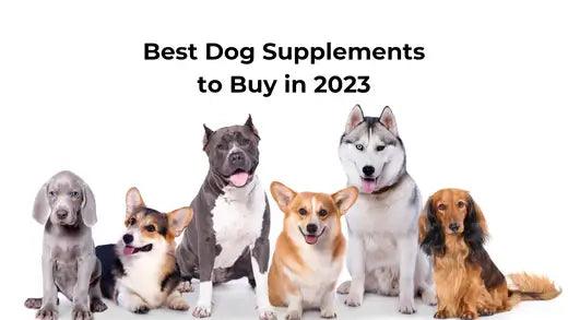 7 Best Dog Supplements to buy in 2023 - K9 Vitality