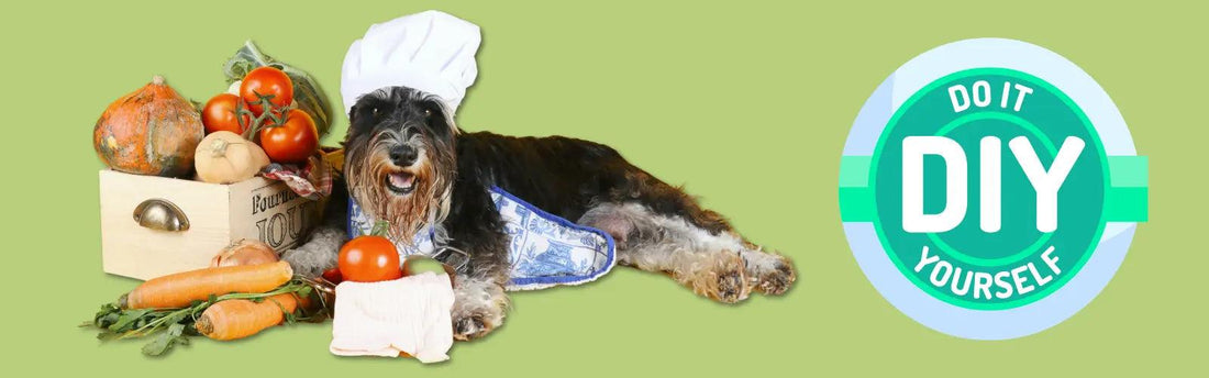 DIY Healthy Dog Treats: Recipes and Tips