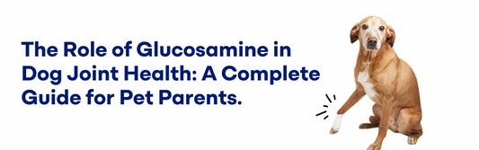 Glucosamine