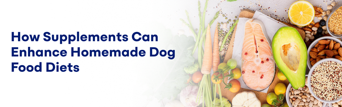 How Supplements Can Enhance Homemade Dog Food Diets