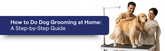 Dog Grooming at Home