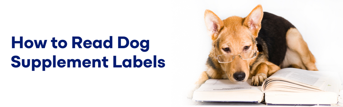 How to Read Dog Supplement Labels: A Complete Guide for Pet Parents by K9 Vitality