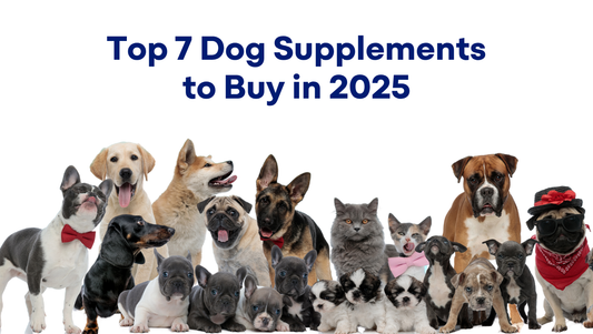 7 Best Dog Supplements to Buy in 2025