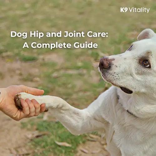 Dog Hip and Joint care