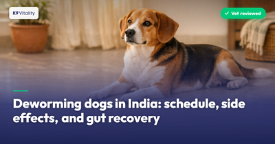Deworming dogs in India: schedule, side effects, and gut recovery