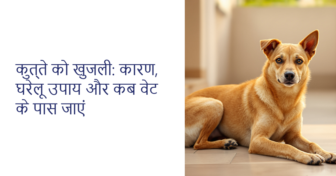 Dog khujli - Indian indie dog resting on a terrace | K9 Vitality