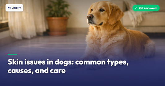 Skin issues in dogs: common types, causes, and care
