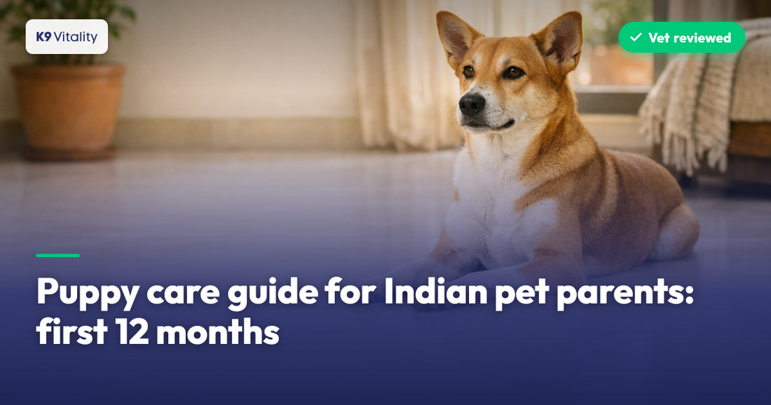 Puppy care guide for Indian pet parents: first 12 months
