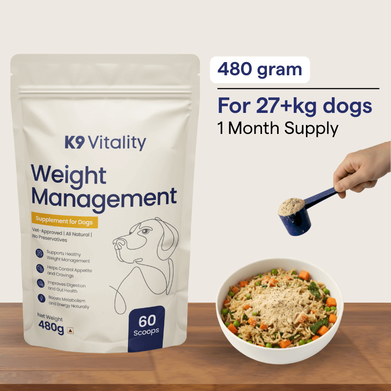 Weight Management Supplement for Dogs