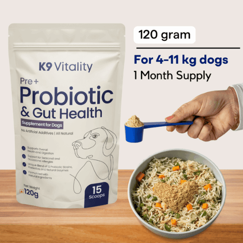 Pre + Probiotics & Gut Health For Dogs