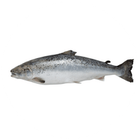 Marine Collagen Peptide