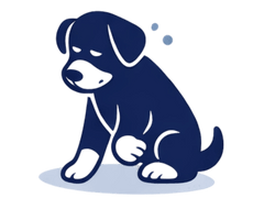 Slow to get up from lying down