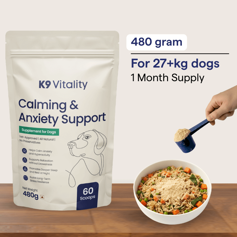 Calming & Anxiety Support Supplement for Dogs