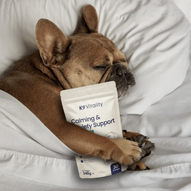 Calming & Anxiety Support Supplement for Dogs