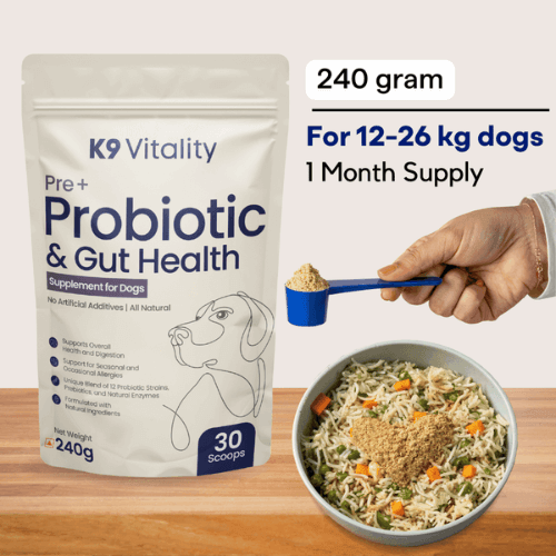 Pre + Probiotics & Gut Health For Dogs