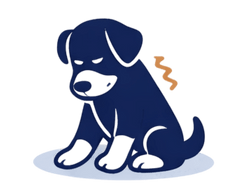 Reduced activity or playfulness