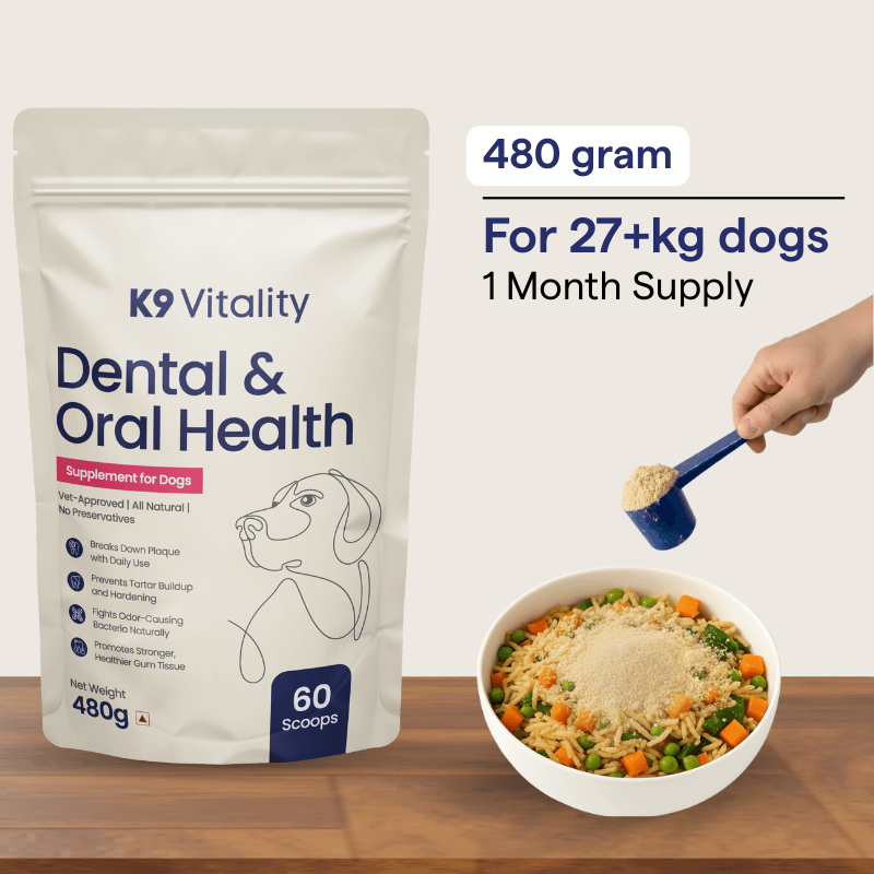 Dental & Oral Health Supplement for Dogs