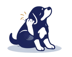 Constant itching or scratching