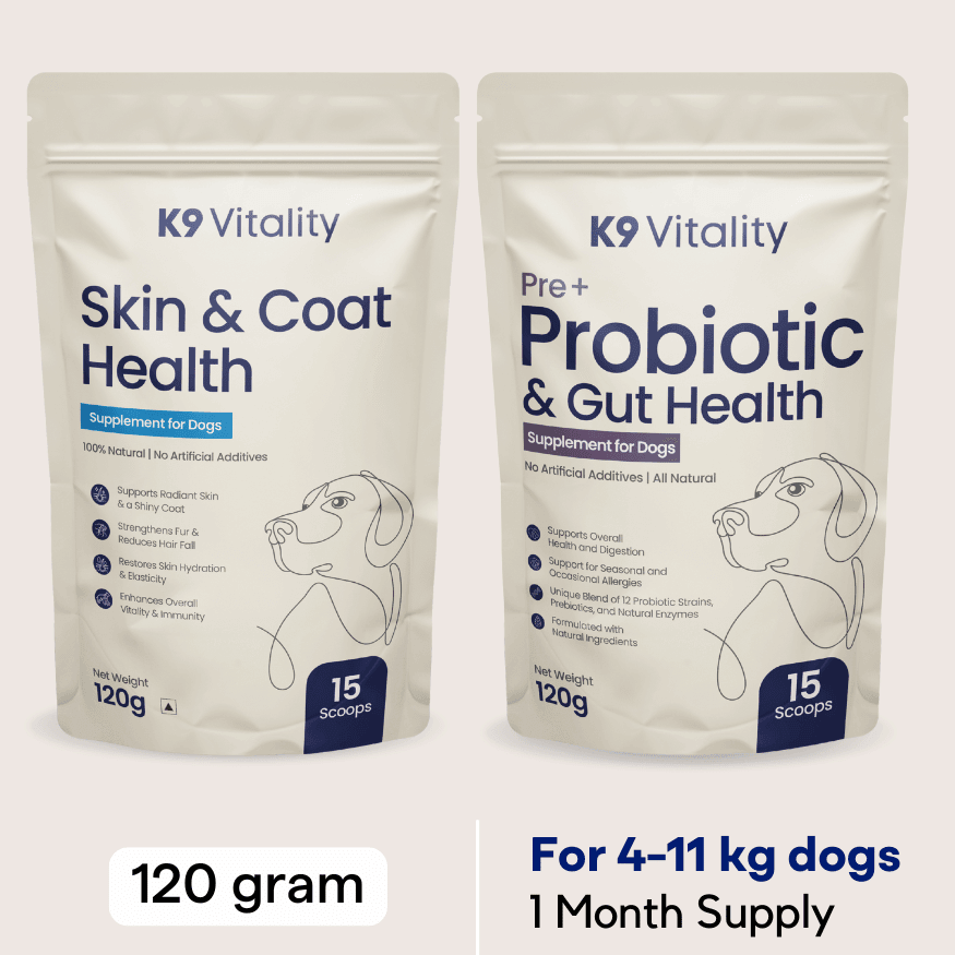 Probiotics + Skin & Coat Duo