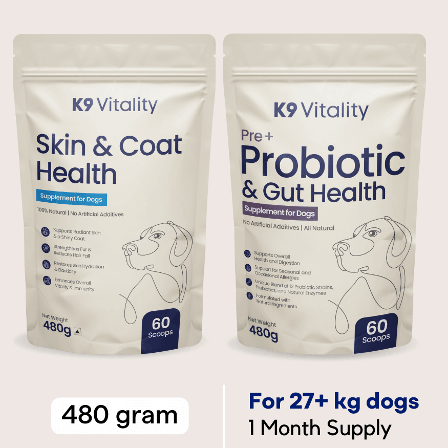 Probiotics + Skin & Coat Duo
