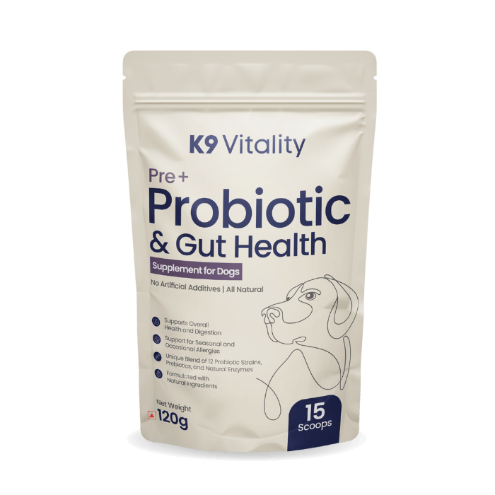 Pre + Probiotics & Gut Health For Dogs