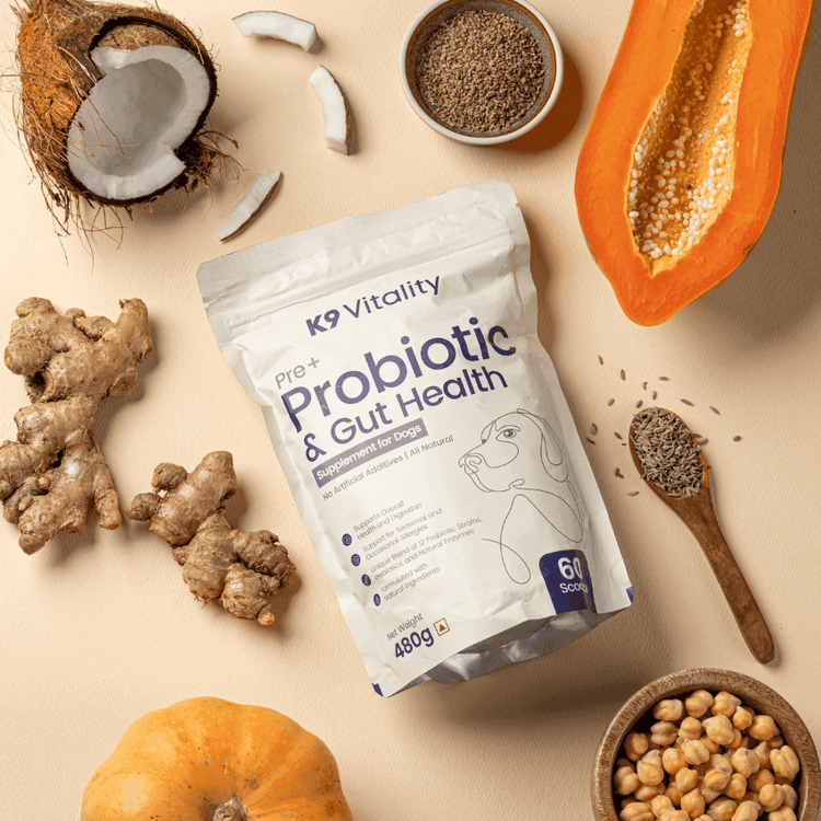 [Ultimate Saver Pack] Pre + Probiotics & Gut Health For Dogs - 480 grams