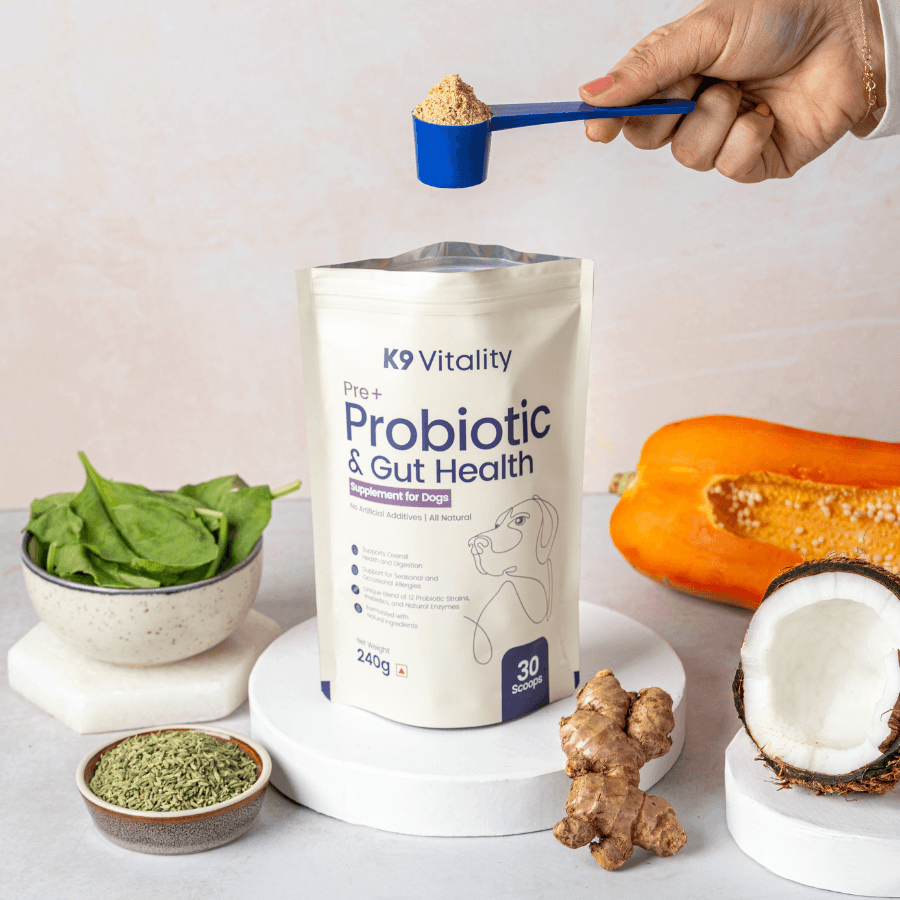 Pre + Probiotics & Gut Health For Dogs