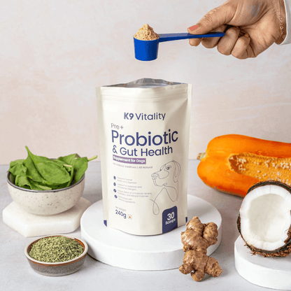 Pre + Probiotics & Gut Health For Dogs