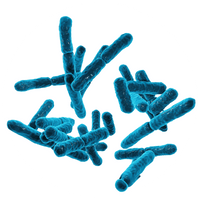 Probiotics