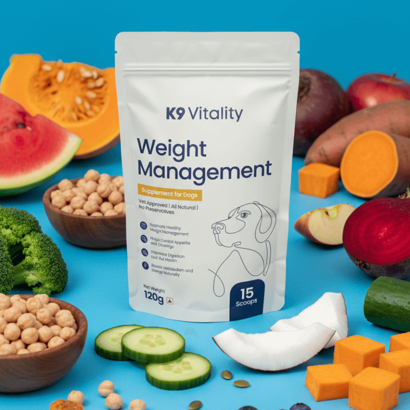 Weight Management Supplement for Dogs