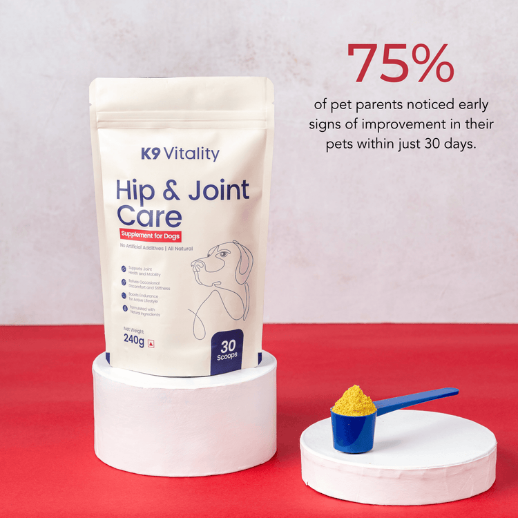 Hip & Joint Care Supplement For Dogs (2 x 240 Grams)
