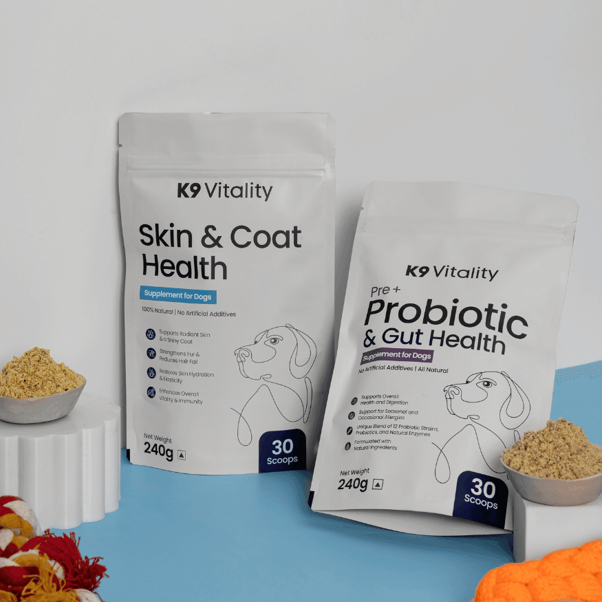 Probiotics + Skin & Coat Duo