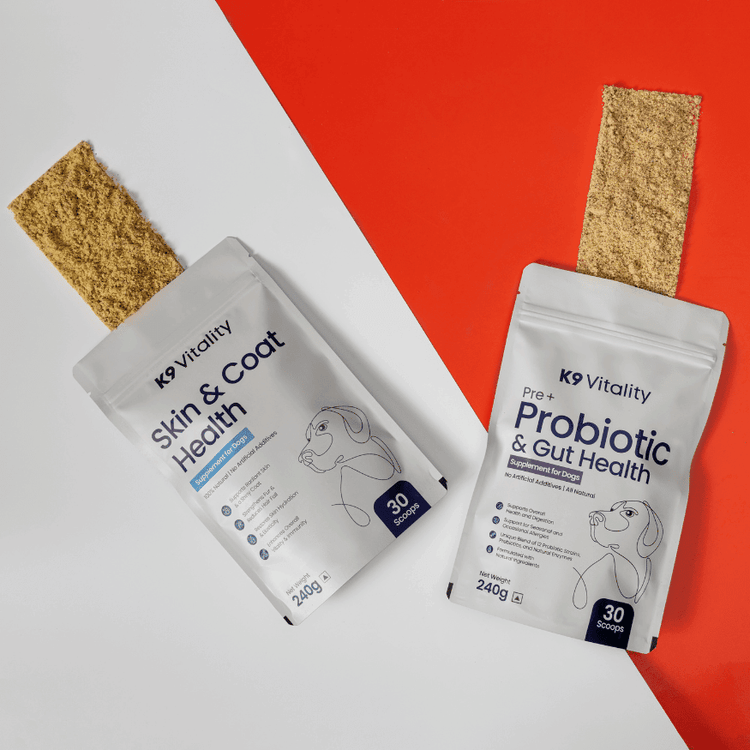 Probiotics + Skin & Coat Duo